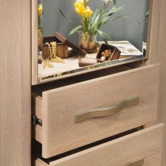 ДИАНА Д11 Шкаф для одежды в Екатеринбурге - mebel24.online | фото 5