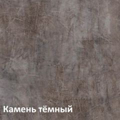 Крафт Полка навесная 15.64 в Екатеринбурге - mebel24.online | фото 4