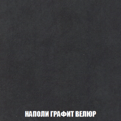 Кресло-кровать Виктория 3 (ткань до 300) в Екатеринбурге - mebel24.online | фото 38