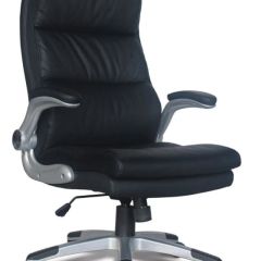 Кресло офисное BRABIX "Fregat EX-510" (рециклированная кожа, черное) 530863 в Екатеринбурге - mebel24.online | фото