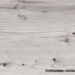 Кухонный гарнитур Сиена мини 1000 мм в Екатеринбурге - mebel24.online | фото 8