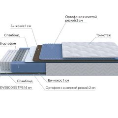 PROxSON Матрас Active Comfort M (Ткань Трикотаж Эко) 120x200 в Екатеринбурге - mebel24.online | фото 7