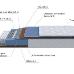 PROxSON Матрас Active Duo M/F (Ткань Трикотаж Эко) 120x195 в Екатеринбурге - mebel24.online | фото 7