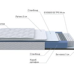 PROxSON Матрас Active Duo S/F (Ткань Трикотаж Эко) 140x190 в Екатеринбурге - mebel24.online | фото 7