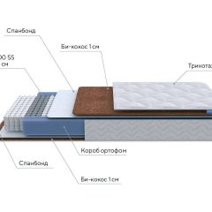 PROxSON Матрас Active F Roll (Ткань Трикотаж Эко) 120x190 в Екатеринбурге - mebel24.online | фото 7