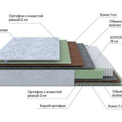 PROxSON Матрас Green M (Tricotage Dream) 120x190 в Екатеринбурге - mebel24.online | фото 7