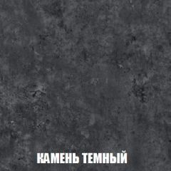 Шкаф 2-х створчатый МСП-1 (Дуб Золотой/Камень темный) в Екатеринбурге - mebel24.online | фото 5