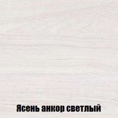 Шкаф 2-х створчатый МСП-1 (Ясень Анкор светлый) в Екатеринбурге - mebel24.online | фото 4