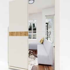 Шкаф-купе 1600 серии SOFT D6+D4+B2+PL2 (2 ящика+1штанга+1 полка) профиль «Капучино» в Екатеринбурге - mebel24.online | фото 2