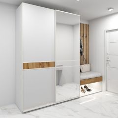 Шкаф-купе 1600 серии SOFT D6+D4+B2+PL2 (2 ящика+1штанга+1 полка) профиль «Капучино» в Екатеринбурге - mebel24.online | фото 5