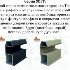 Шкаф-купе 1600 серии SOFT D8+D2+B2+PL4 (2 ящика+F обр.штанга) профиль «Графит» в Екатеринбурге - mebel24.online | фото 12