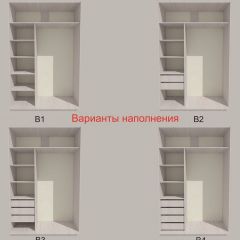 Шкаф-купе 1700 серии SILVER S3+S4+B2+PL4 (2 ящика+F обр.штанга) профиль «Серебро» в Екатеринбурге - mebel24.online | фото 5