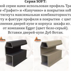 Шкаф-купе 2100 серии SOFT D5+D4+D5+B22+PL3 (по 2 ящика лев/прав+2штанги) профиль «Графит» в Екатеринбурге - mebel24.online | фото 12