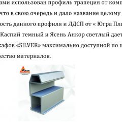 Шкаф-купе 2250 серии SILVER S3+S1+S3Z B22+PL2 (по 2 ящика лев/прав+1штанга+1 полка) профиль «Серебро» в Екатеринбурге - mebel24.online | фото 4