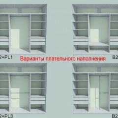 Шкаф-купе 2250 серии SILVER S3+S1+S3Z B22+PL2 (по 2 ящика лев/прав+1штанга+1 полка) профиль «Серебро» в Екатеринбурге - mebel24.online | фото 6