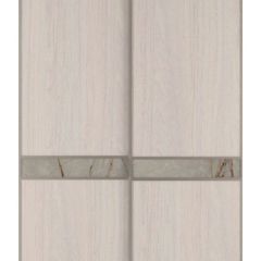 Шкаф-купе 2250 серии SILVER S3+S1+S3Z B22+PL2 (по 2 ящика лев/прав+1штанга+1 полка) профиль «Серебро» в Екатеринбурге - mebel24.online | фото 13