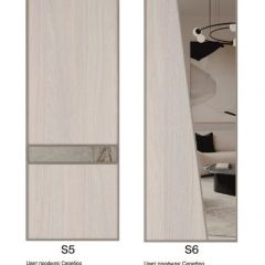 Шкаф-купе 2250 серии SILVER S3+S1+S3Z B22+PL2 (по 2 ящика лев/прав+1штанга+1 полка) профиль «Серебро» в Екатеринбурге - mebel24.online | фото 14
