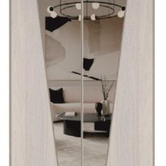 Шкаф-купе 2250 серии SILVER S3+S1+S3Z B22+PL2 (по 2 ящика лев/прав+1штанга+1 полка) профиль «Серебро» в Екатеринбурге - mebel24.online | фото 15