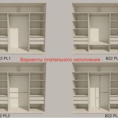 Шкаф-купе 2400 серии SOFT D5+D5+D5+B22+PL4 (по 2 ящика лев/прав+2штанги) профиль «Графит» в Екатеринбурге - mebel24.online | фото 4