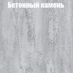 Шкаф-купе Бассо 1.0 (Дуб Крафт серый/Бетонный камень) 2 двери ЛДСП в Екатеринбурге - mebel24.online | фото 3