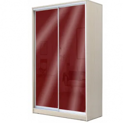 Шкаф-купе ХИТ 22-4-12/2-22 (420) в Екатеринбурге - mebel24.online | фото 9