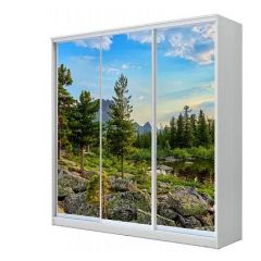 Шкаф-купе ХИТ 24-20/2-777 (620) в Екатеринбурге - mebel24.online | фото