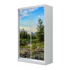 Шкаф-купе ХИТ 24-4-15-77 (420) в Екатеринбурге - mebel24.online | фото