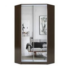 Шкаф-купе ХИТ-У-R-23-64-55 в Екатеринбурге - mebel24.online | фото