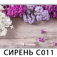 Стол раздвижной Трилогия с фотопечатью Орхидея C012 в Екатеринбурге - mebel24.online | фото 16