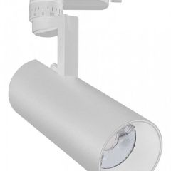 Светильник на штанге Escada 20029 20029TRA/01LED SWH в Екатеринбурге - mebel24.online | фото