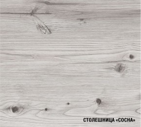 АСАЯ Кухонный гарнитур Экстра 2 (3000 мм) ПМ в Екатеринбурге - mebel24.online | фото 8
