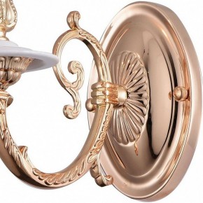 Бра Arte Lamp 8020 A8020AP-1WG в Екатеринбурге - mebel24.online | фото 4