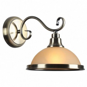 Бра Arte Lamp Safari A6905AP-1AB в Екатеринбурге - mebel24.online | фото