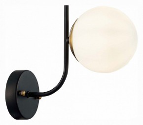 Бра EVOLUCE Ciane SLE1098-401-01 в Екатеринбурге - mebel24.online | фото 3