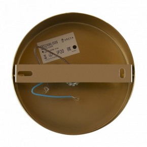 Бра Freya Zelda FR5124WL-01BS в Екатеринбурге - mebel24.online | фото 6