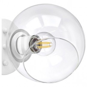 Бра Lightstar Beta 785616 в Екатеринбурге - mebel24.online | фото 5