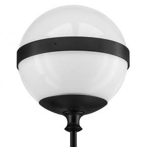 Бра Lightstar Globo 813617 в Екатеринбурге - mebel24.online | фото 3