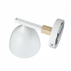 Бра Lumion Colange 8095/1W в Екатеринбурге - mebel24.online | фото 3