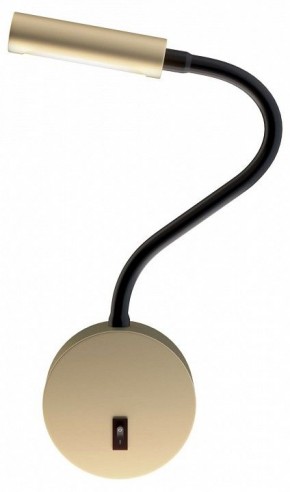 Бра Maytoni Stem C035WL-L3MG3K в Екатеринбурге - mebel24.online | фото
