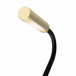 Бра Maytoni Stem C035WL-L3MG3K в Екатеринбурге - mebel24.online | фото 6