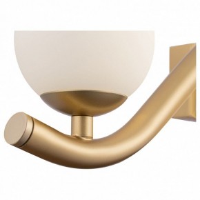 Бра Maytoni Uva MOD059WL-05G в Екатеринбурге - mebel24.online | фото 3