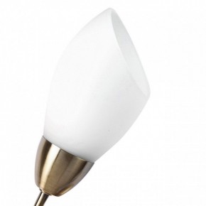 Бра MW-Light Нежность 7 356023001 в Екатеринбурге - mebel24.online | фото 2