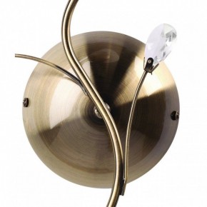 Бра MW-Light Нежность 7 356023001 в Екатеринбурге - mebel24.online | фото 3
