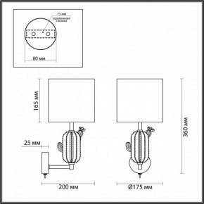 Бра Odeon Light Cactus 5425/1W в Екатеринбурге - mebel24.online | фото 5
