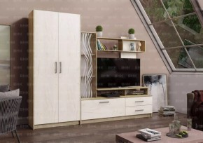 ДАРЬЯ Гостиная (Крафт серый/Крафт белый) в Екатеринбурге - mebel24.online | фото