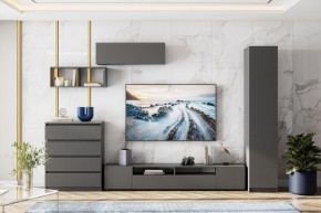 ДЕНВЕР Тумба для ТВА (Графит серый) в Екатеринбурге - mebel24.online | фото 4