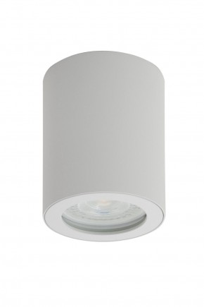 DK3007-WH Накладной светильник влагозащ., IP 44, 15 Вт, GU10, белый, алюминий в Екатеринбурге - mebel24.online | фото 1