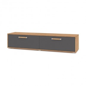ФЛОРИДА Ф31 Тумба ТВ (дуб золотой/графит) в Екатеринбурге - mebel24.online | фото