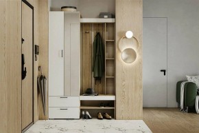 Гарнитур для прихожей Торонто в Екатеринбурге - mebel24.online | фото 5