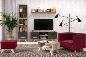 Гостиная Вега Скандинавия (комплект 5) в Екатеринбурге - mebel24.online | фото 2